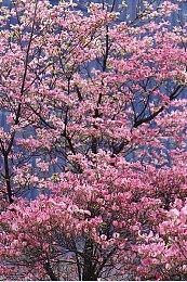 《Bitburner》收获好评如潮 在游戏里写代码升级